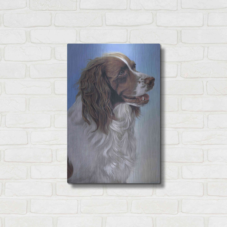 Springer Spaniel Brodie On Metal by Karie Ann Cooper Print